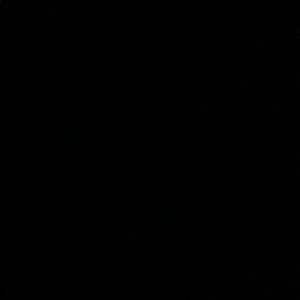 Meet your Posher, Lorena